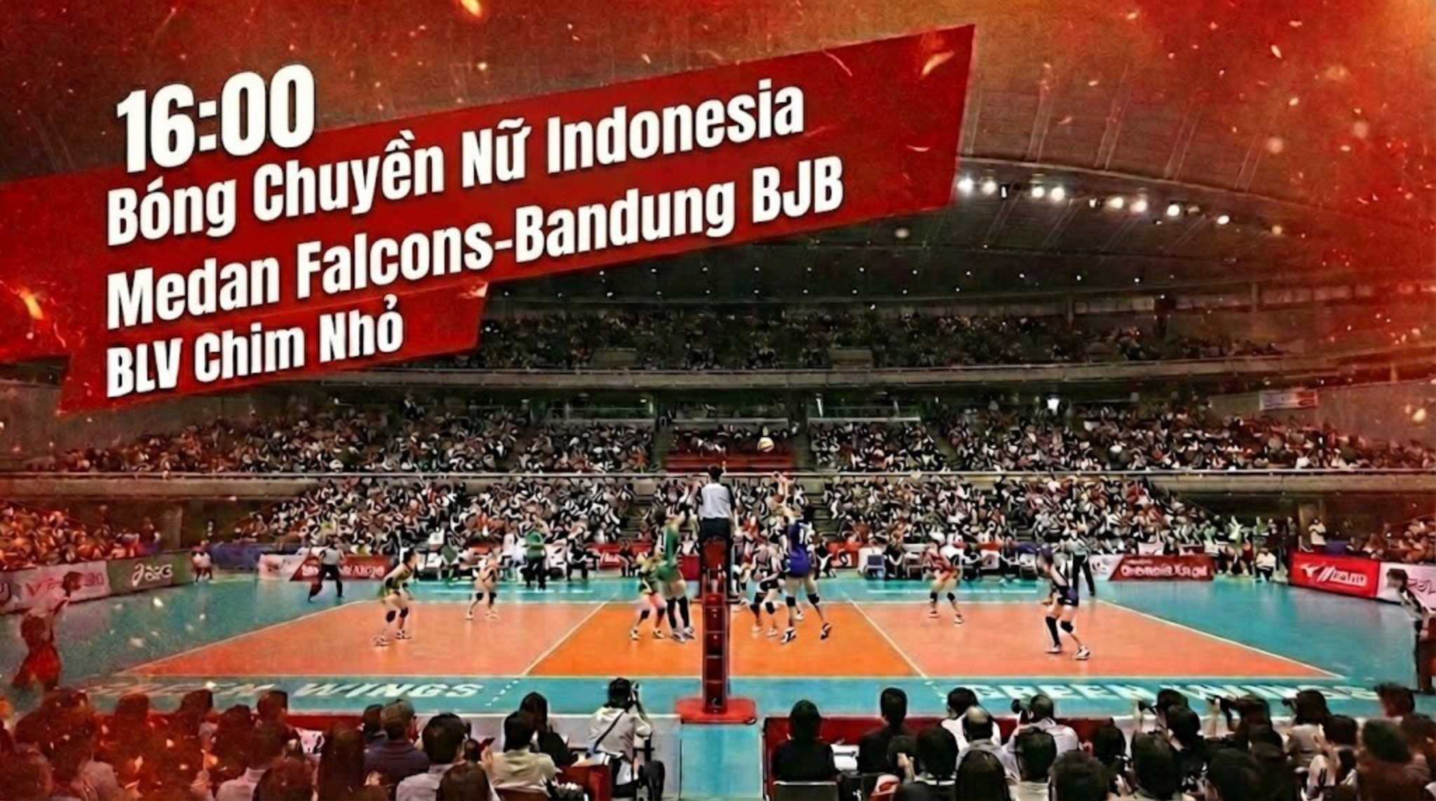 Highlight Copa del Rey: Racing Santander vs Barcelona | BLV Chim Nhỏ