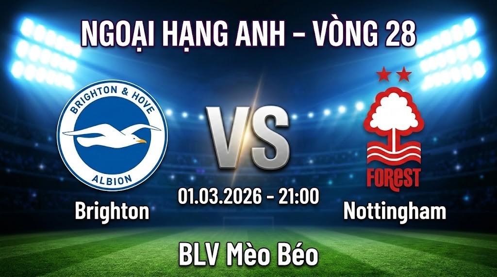 Xem Lại Full Match Brighton vs Nottingham | 01.03.2026 | Ngoại hạng Anh | BLV Mèo Béo