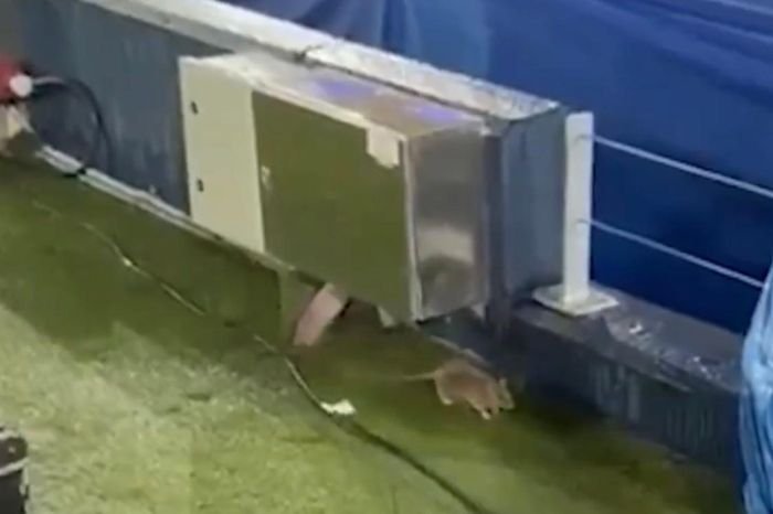 Cảnh tượng gây sốc ở sân Camp Nou